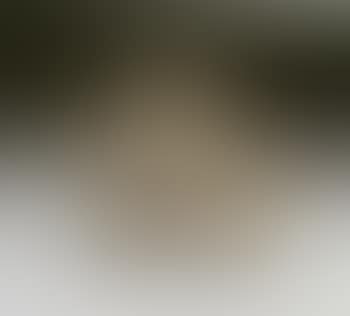 Personnage et oiseau (preview)