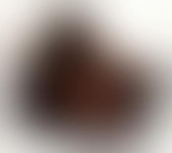 1-123-123-12-12 (preview)
