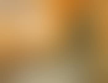 Landscape II (preview)