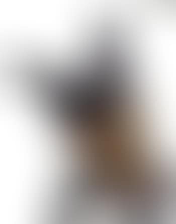 Nana noire (preview)