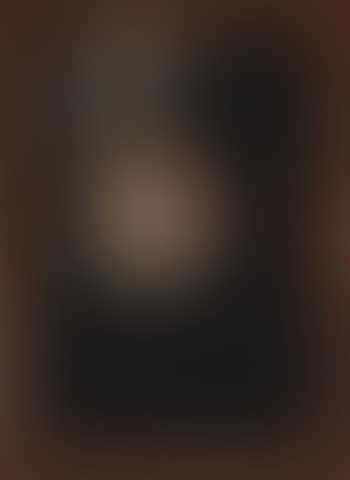 Portrait of Charles IX (preview)