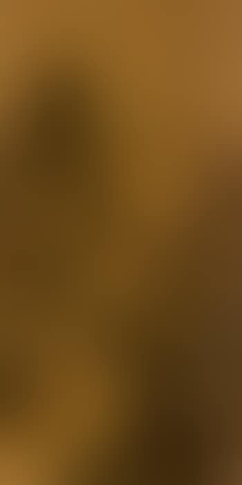 Landscape (preview)