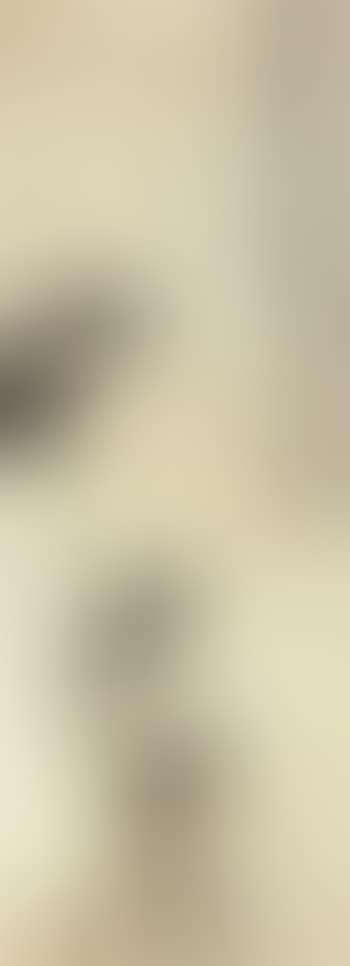 Bamboo (preview)