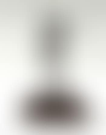 Homme solitaire (preview)