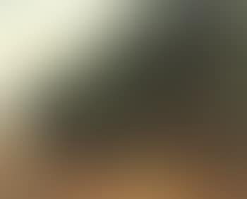 Paysage du Midi (preview)