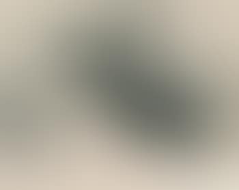 Portrait of a seated woman (preview)