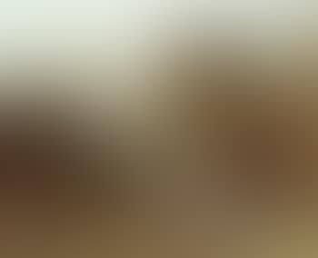 Landscape with figures (preview)