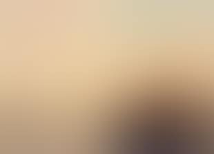 Venetian view (preview)
