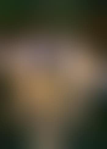 Three naked figures by a river (preview)