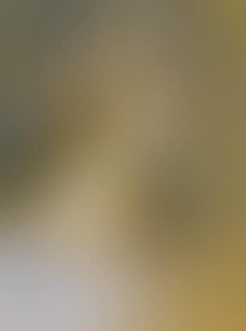 Portrait of a lady (preview)