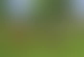 Figures working in a field (preview)
