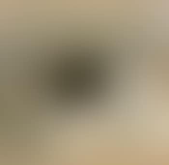 Libro (preview)