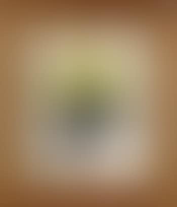 Still life of yellow roses (preview)