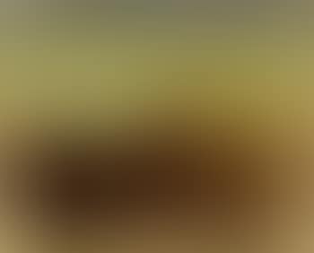 Landscape (preview)
