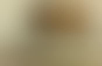 Study of a gnu (preview)