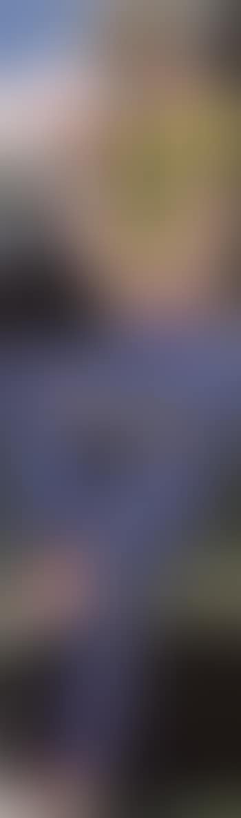 Londonist (preview)