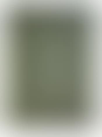 Pedestrian window (preview)