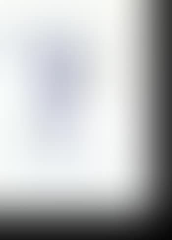 Don Quichotte (preview)
