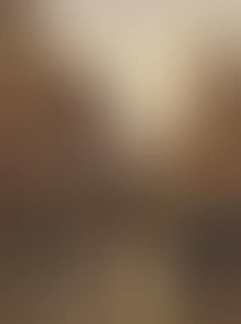 View of the Westerwagenstraat, Rotterdam (preview)