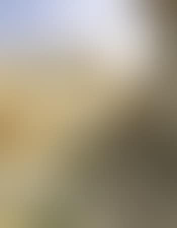 Mill (preview)