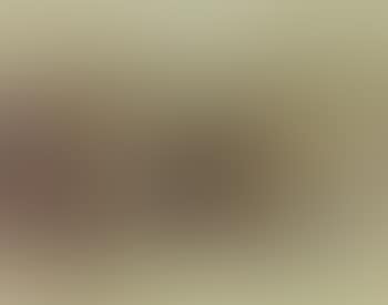 Wintry landscape as sleeping rodents. Hilly landscape as sleeping lion (preview)