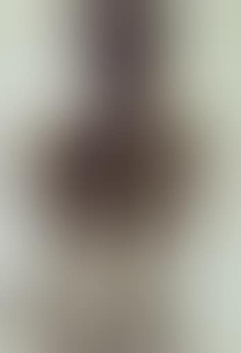 Figure from behind, bones exposed (preview)
