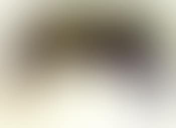 Mozart requiem (preview)