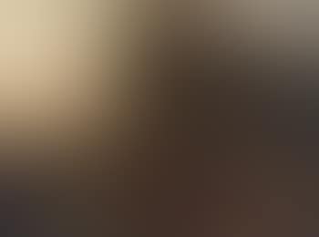 Wooded landscapes (preview)