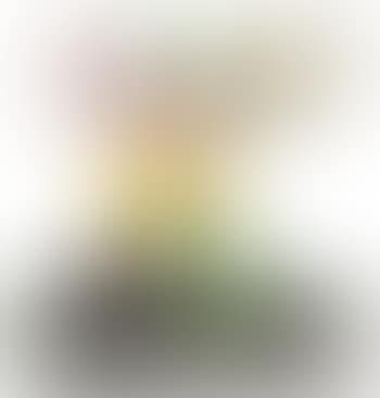 Oiseau (preview)