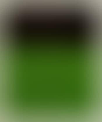 Black/green (preview)