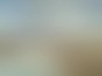 Mallard alighting, Horsey Norfolk (preview)