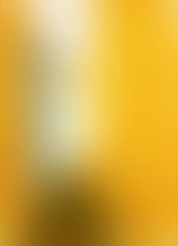 Landscape (preview)