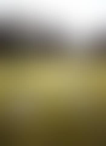 Open space (preview)