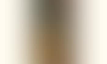 Nature morte a la guitare (preview)