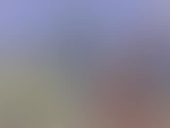 Evening landscape (preview)