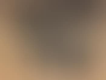 Landscape (preview)