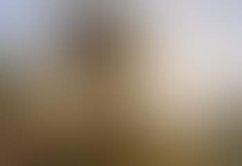 Landscape with buildings on hill (preview)