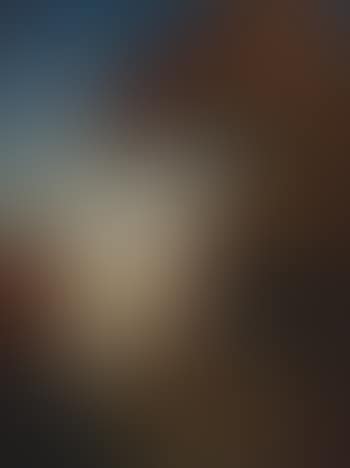 Nocturnal landscape (preview)