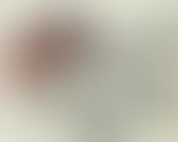 Homme a l'oiseau (preview)