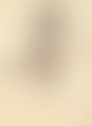 Promeneur (preview)