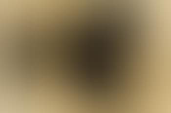 Composition (preview)