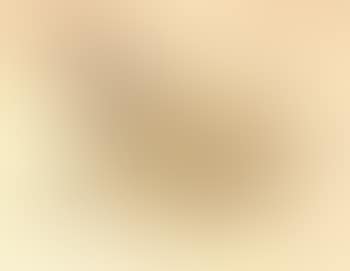 Le coq (preview)