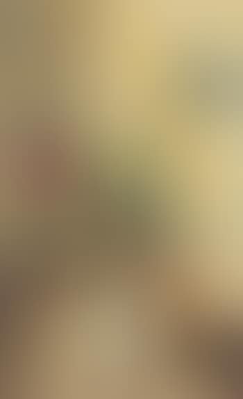 Yellow tulips and rununculus (preview)
