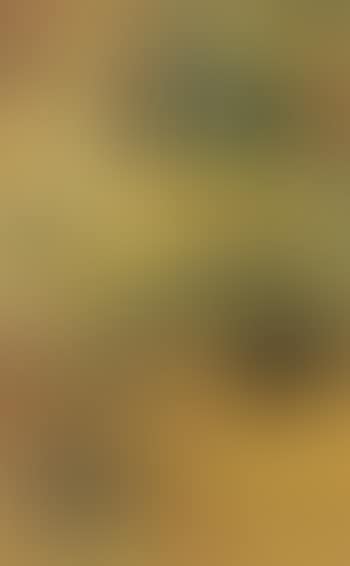 Still life (preview)