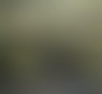 Tjibogo landscape (preview)