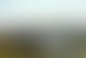 Duddingston loch, autumn morning (preview)