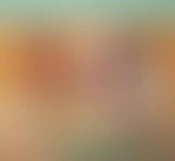 Spaghetti abruzzese (preview)