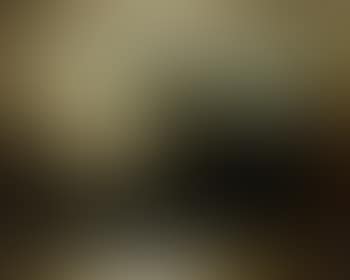 Panoramic landscape (preview)