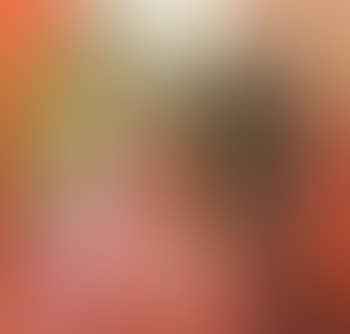Studio still life (preview)