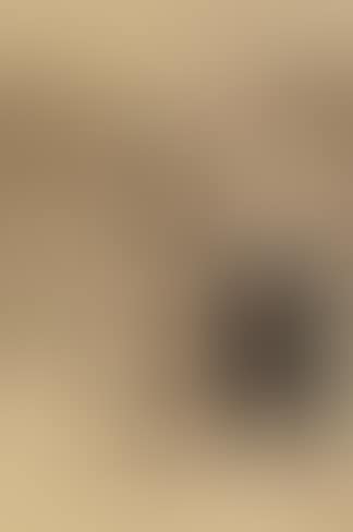 Two gentlemen talking to an archaeologist at a site (preview)